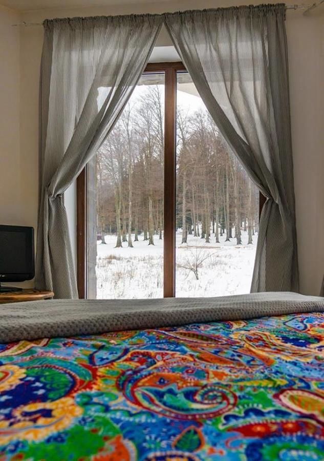 Гостевой дом Vila Mama Jana Буштени