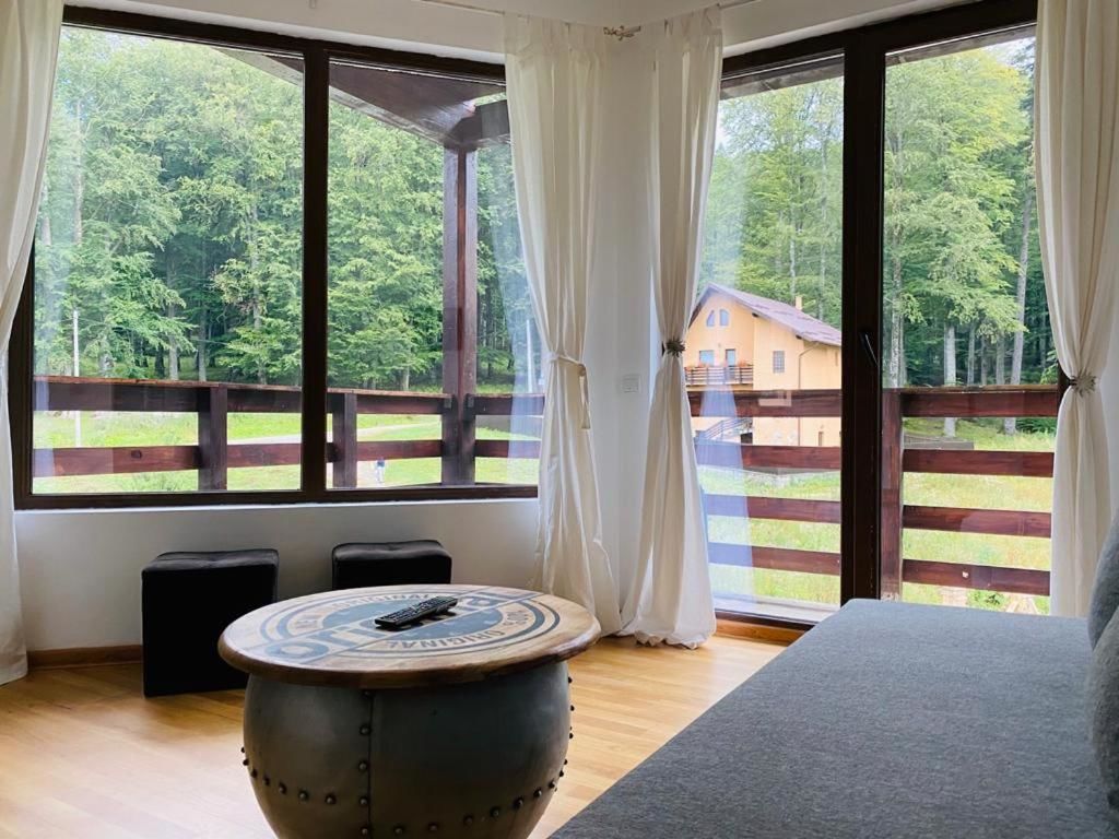 Гостевой дом Vila Mama Jana Буштени