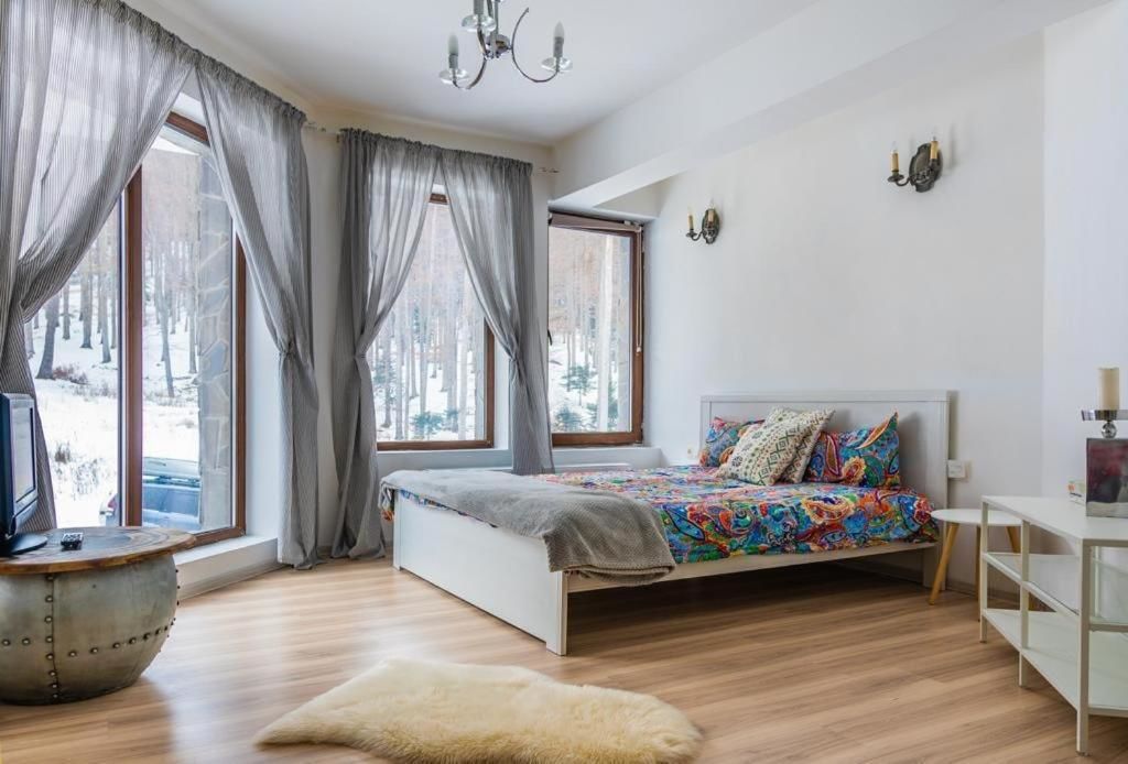 Гостевой дом Vila Mama Jana Буштени