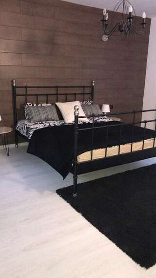 Гостевой дом Vila Mama Jana Буштени Двухместный номер с 1 кроватью и балконом-14