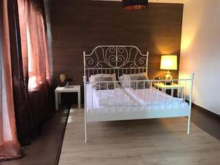 Гостевой дом Vila Mama Jana Буштени Двухместный номер с 1 кроватью и балконом-41