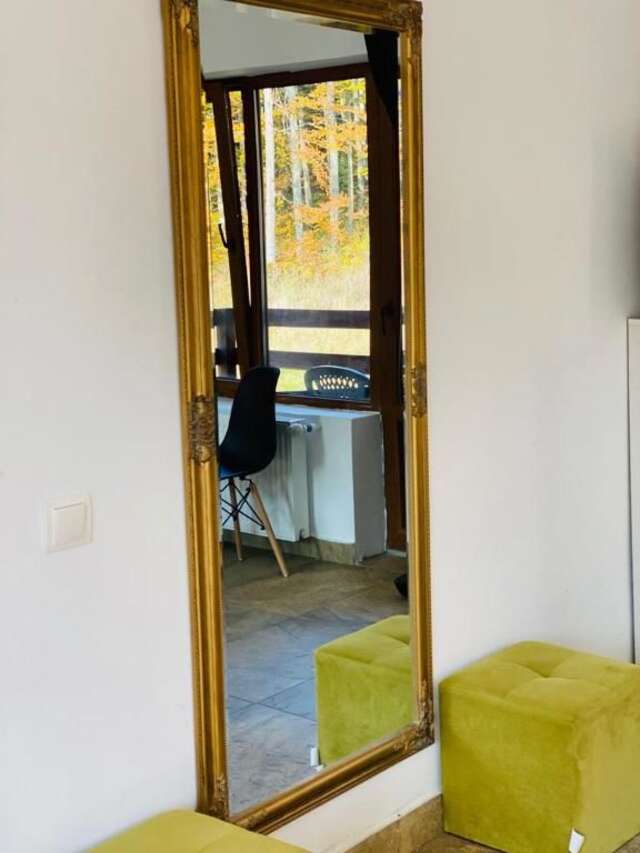 Гостевой дом Vila Mama Jana Буштени-34